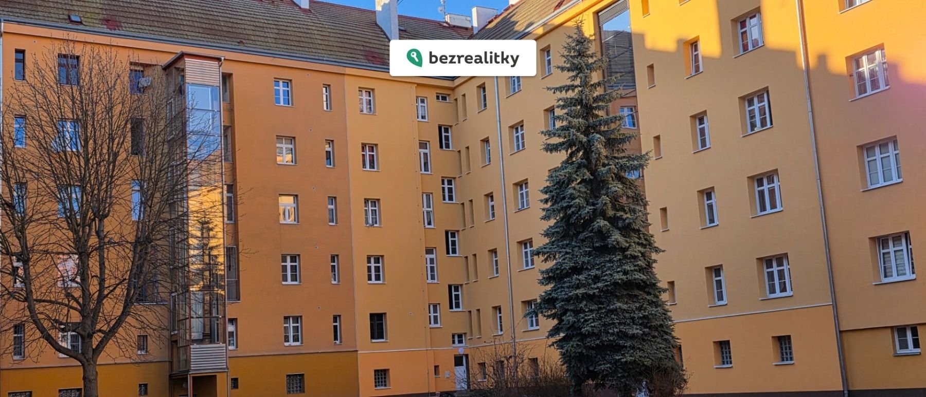 1773513040-zalqydwllc-20260313-162516