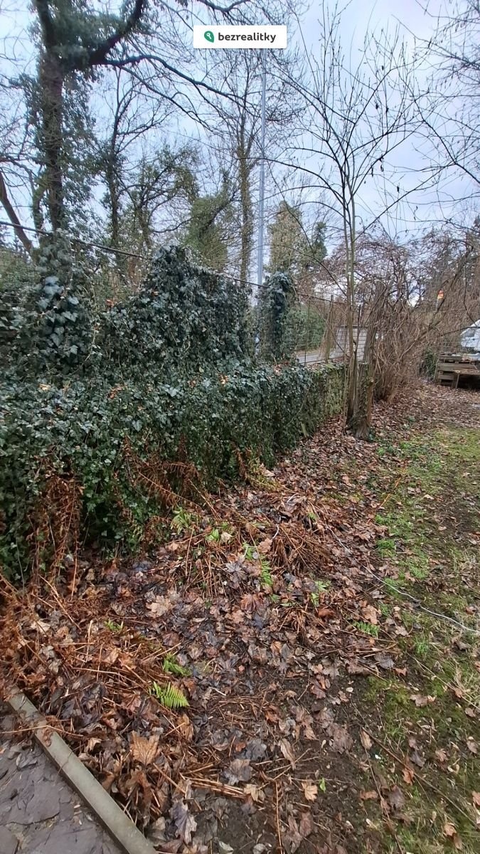 1771693096-usujcdmlcz-1000018852