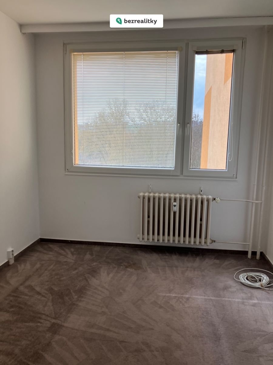 1775404061-ysrpvrywlf-img-2458