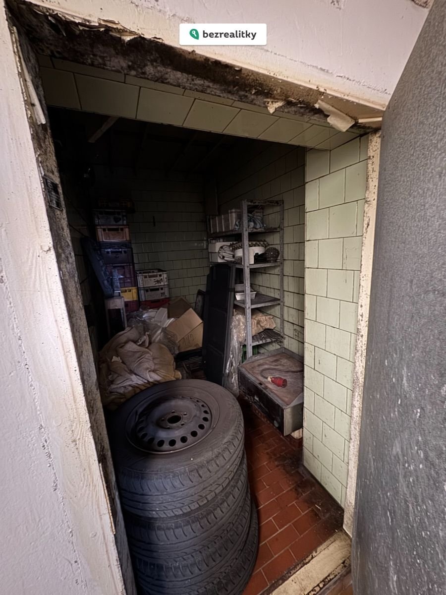 1775755560-wbmstpkjle-img-9724