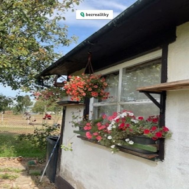 1773064259-ldclsrqsfb-img-2447