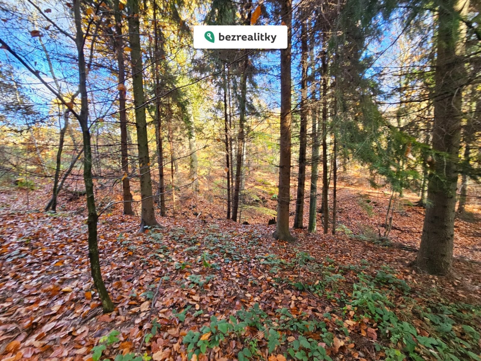 1774441567-gbnazjgqxj-113112