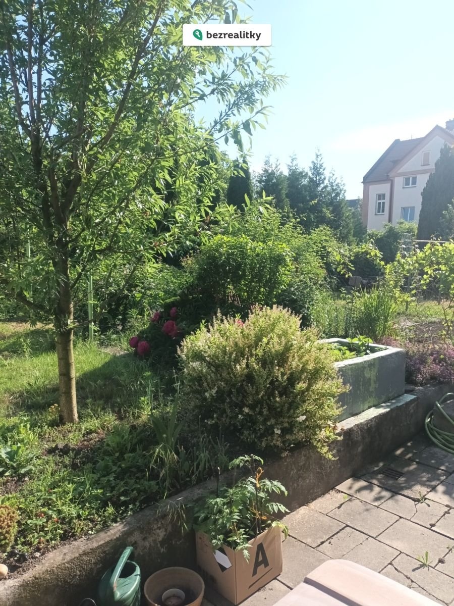 1762887828-vioweqowug-zahr-c3-a1dka-1