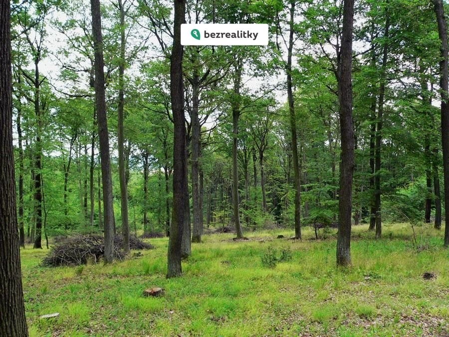 1775851362-jsjeqhgyva-15