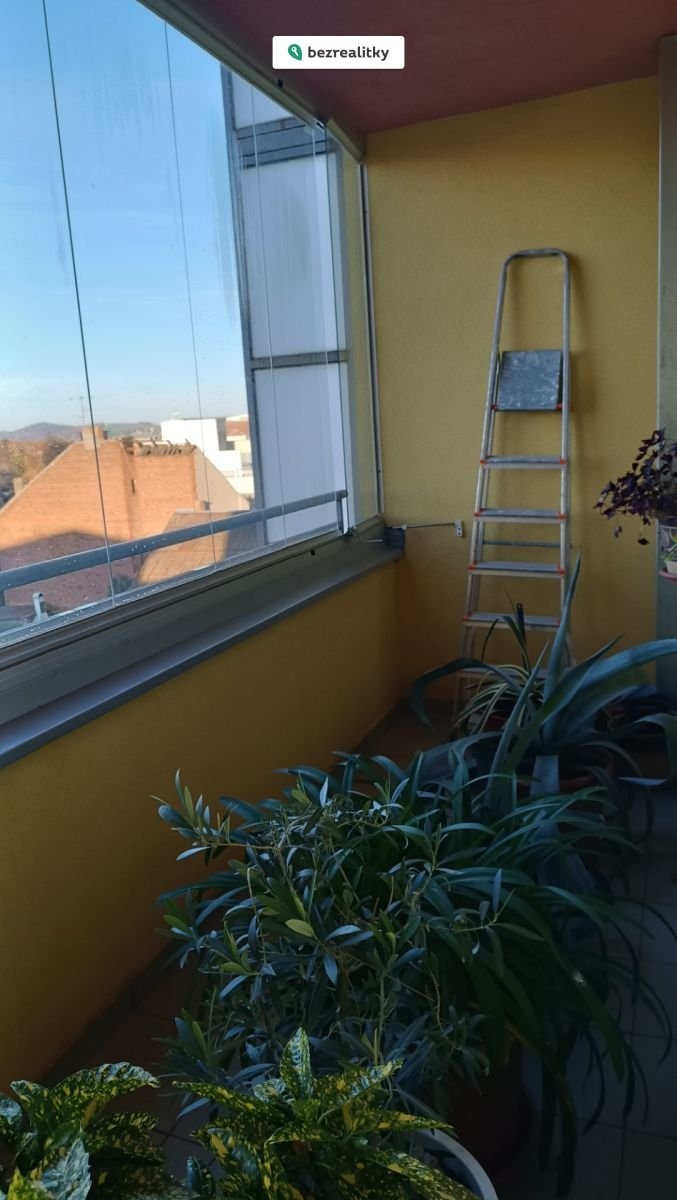 1762973620-pqgpdvtxsn-img-20251105-151904