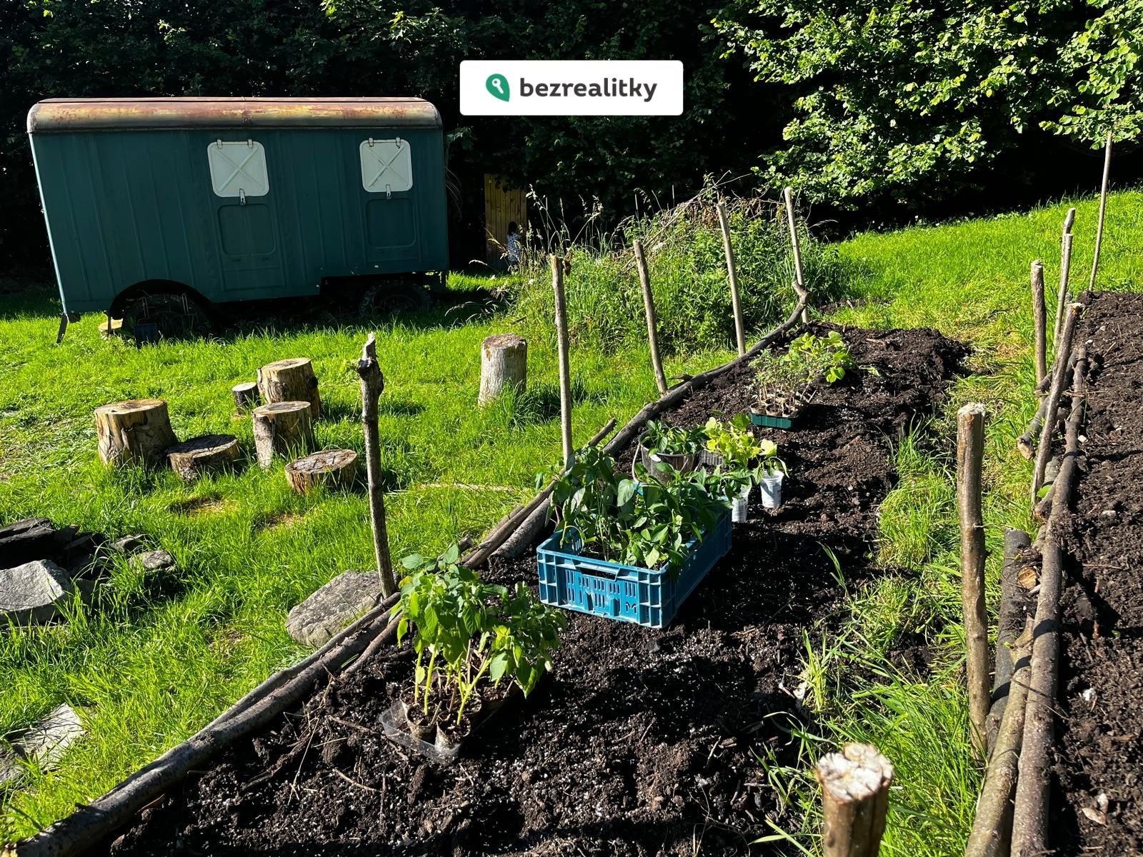 1773766060-osppgpqphu-photo-2025-09-25-12-23-24-2