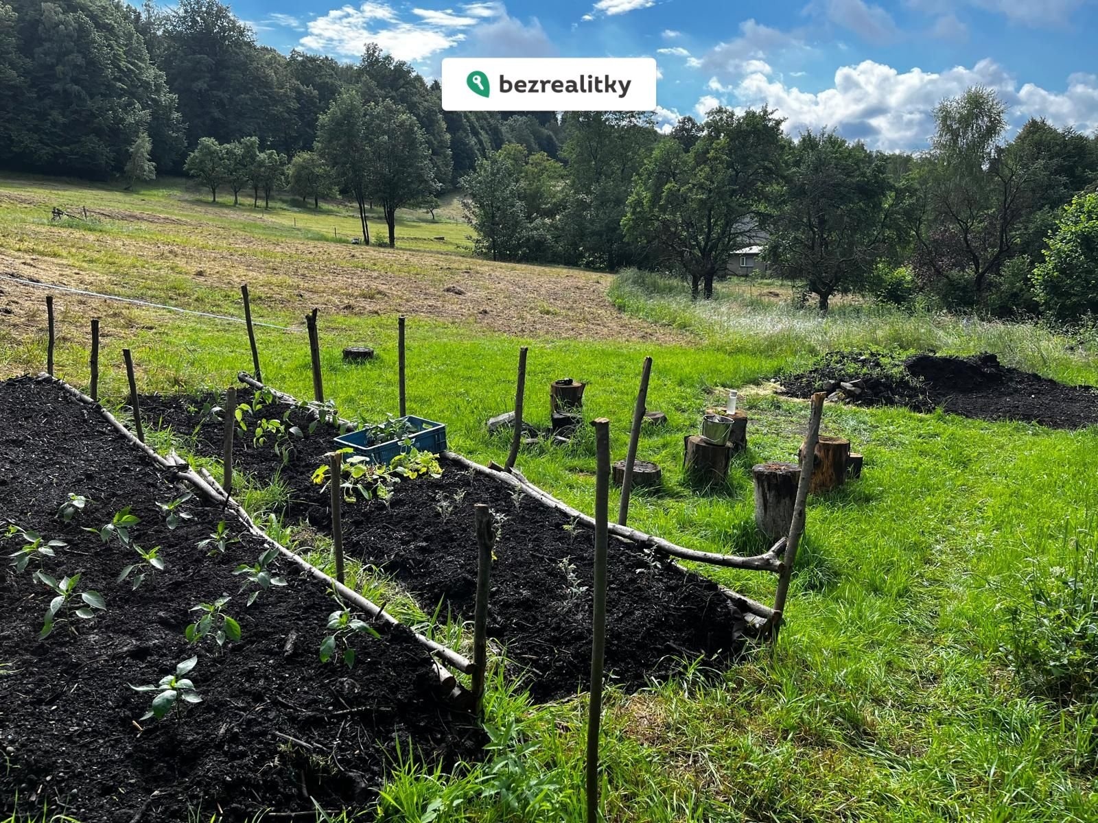 1773766061-uwxxuyzbyj-photo-2025-09-25-12-23-24-23