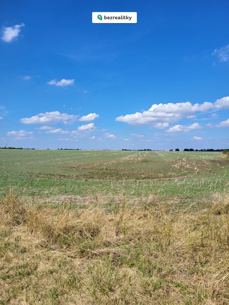 1762986131-iofgyorcyt-m-c4-9bcholupy2