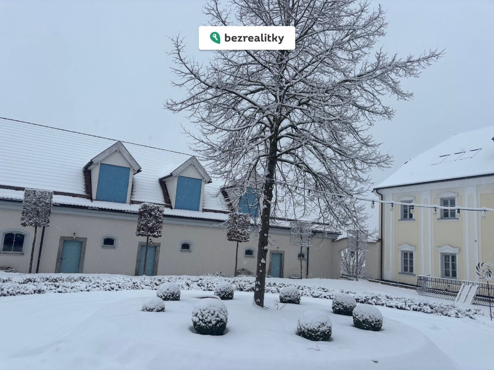 1769773069-dmauritwof-img-4596