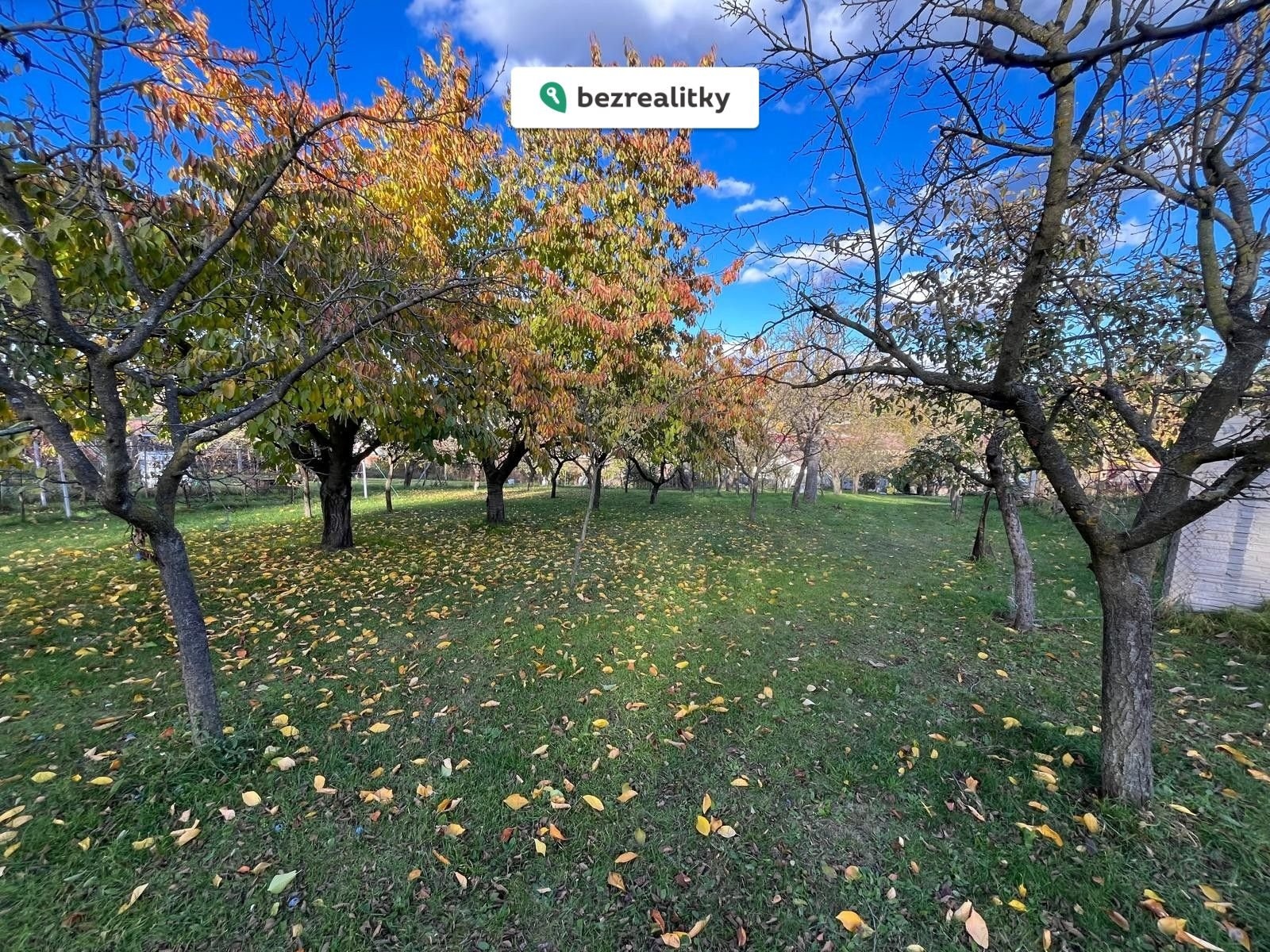 1762190938-gpnbaymgvo-img-20251103-wa0007