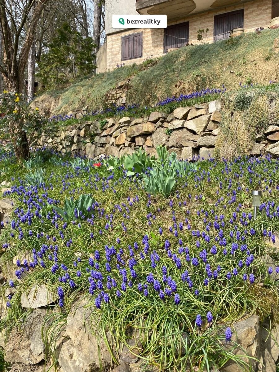 1775671637-ocjmxbvlqh-a4543879-64ec-44c3-9b6d-fdc2