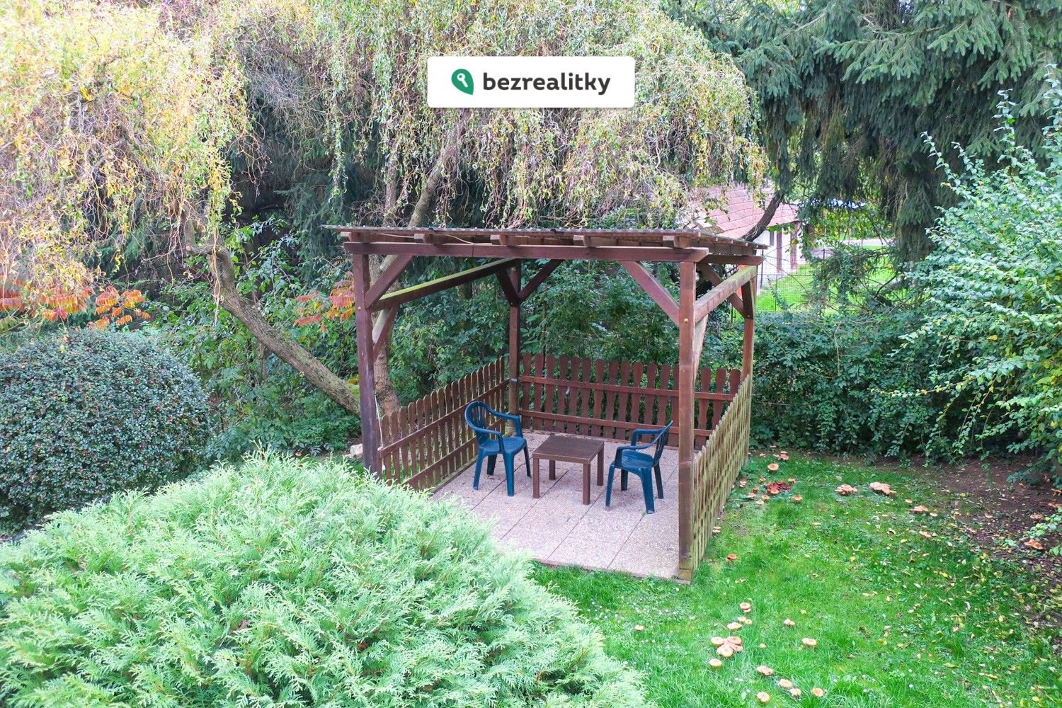 1763641244-cgyvcsjyii-img-2151