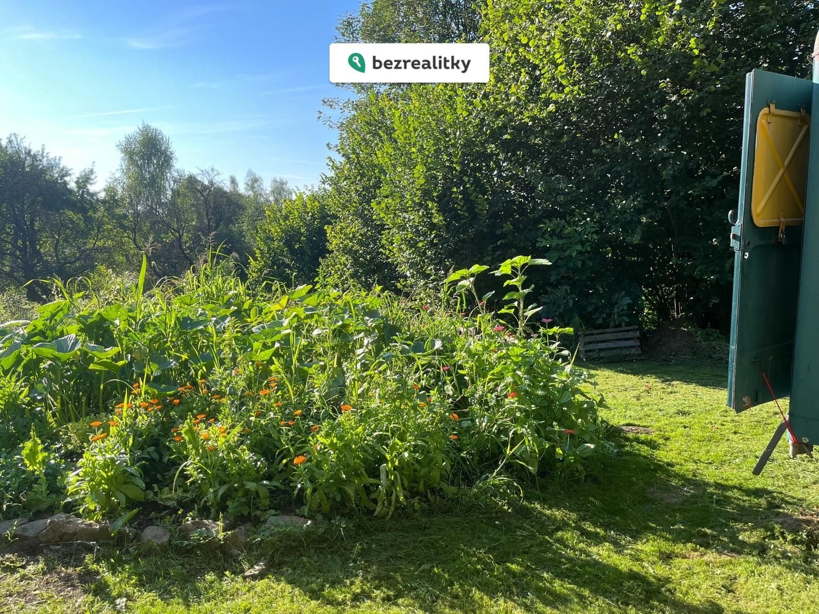 1773766061-euihyptogs-photo-2025-09-25-12-23-24-19