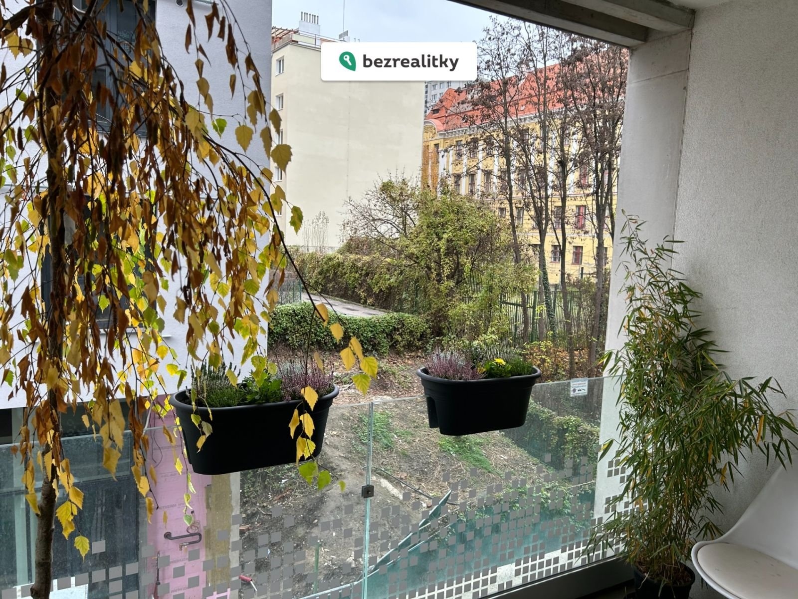 1763315336-aoecdydqki-img-5473