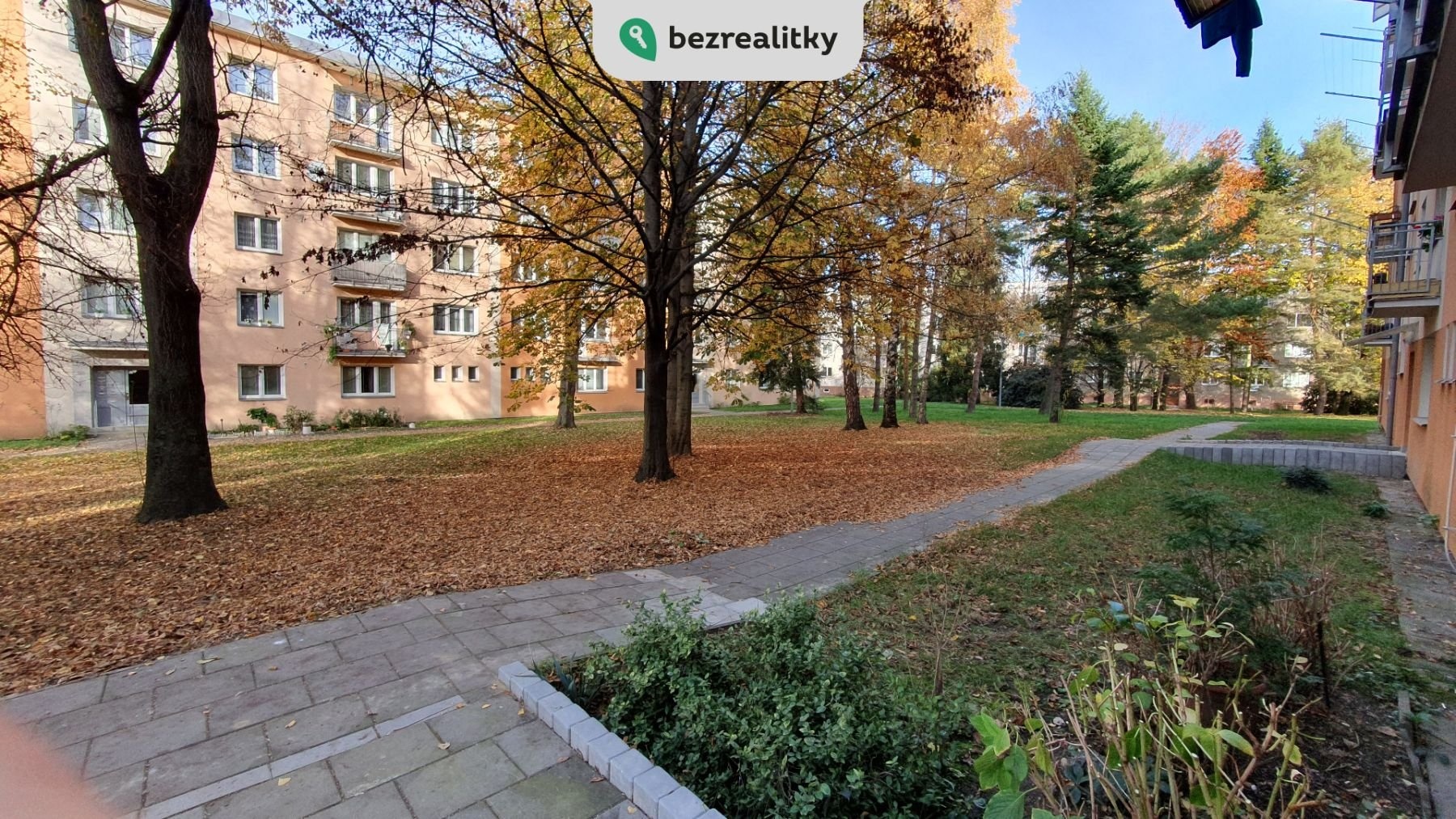 1745876220-mzgvmezpzo-venku1