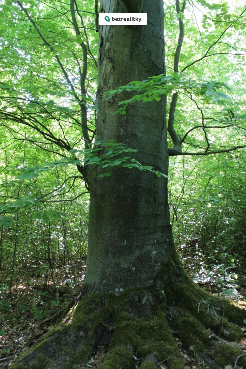 1764545286-mhqsdsabay-img-6518