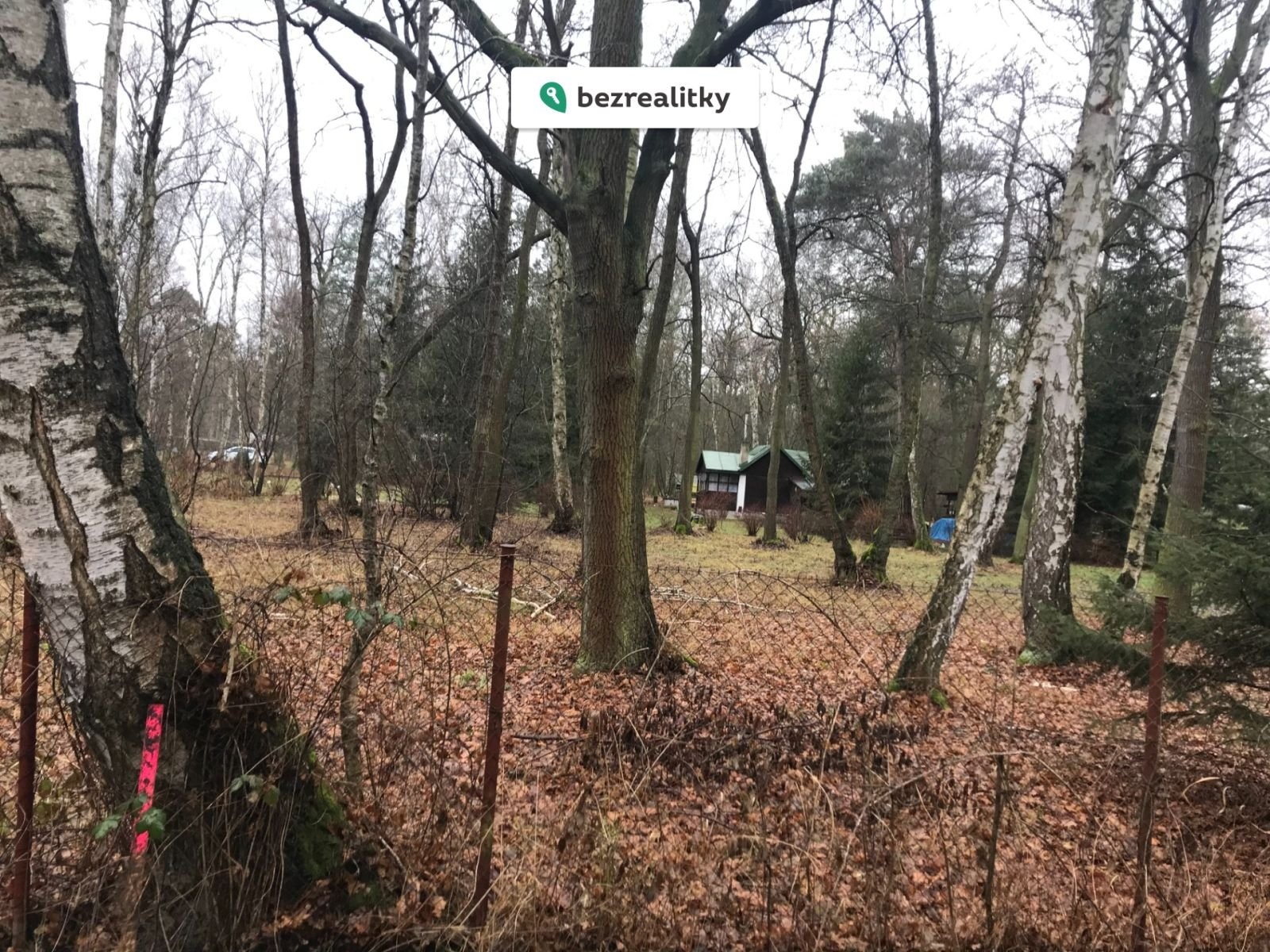 1765655561-flhumvglej-img-3652