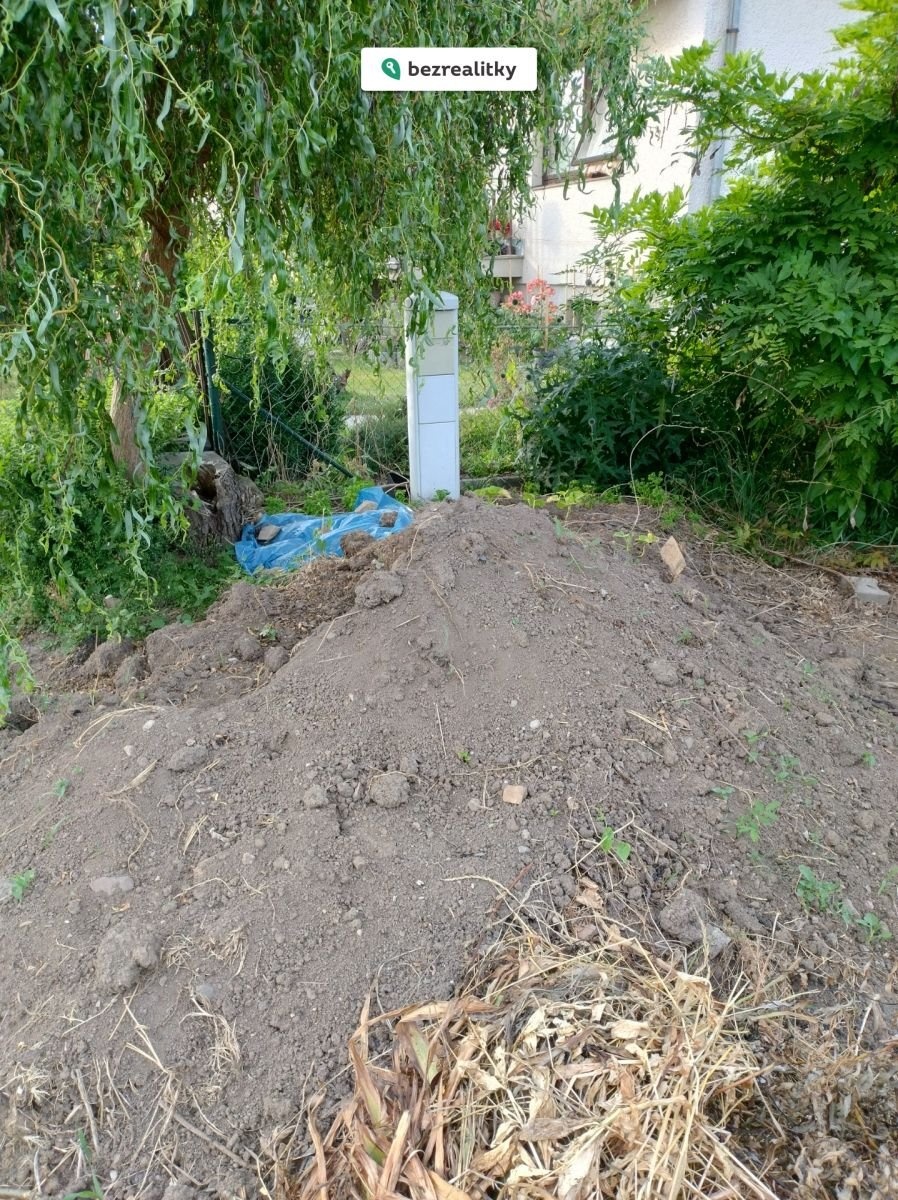 1762960878-sftjpoonbl-1000009173