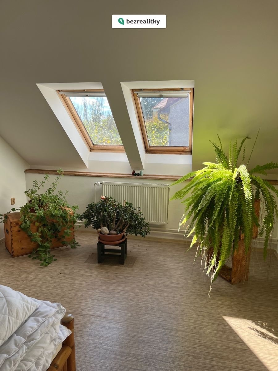 1761492654-kzqywtlqfe-img-0499