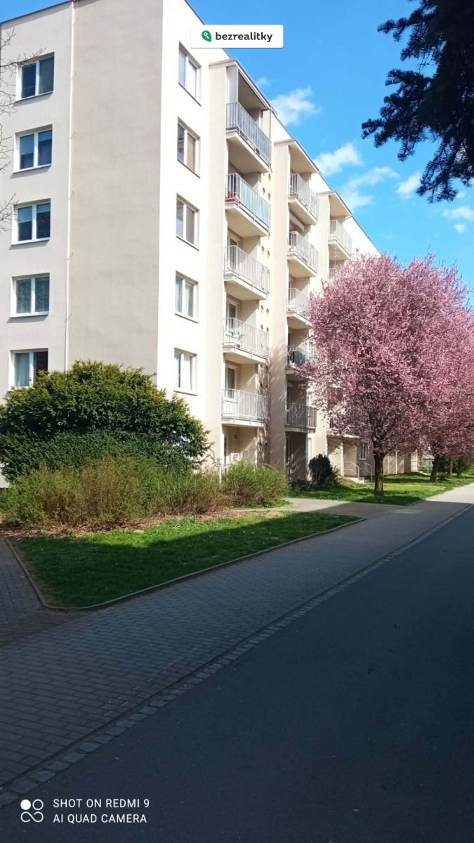 1775497838-ujdtrbegly-messenger-creation-8f4b46b8-88dc-4dfd-a26c-52c4b53a5bbf