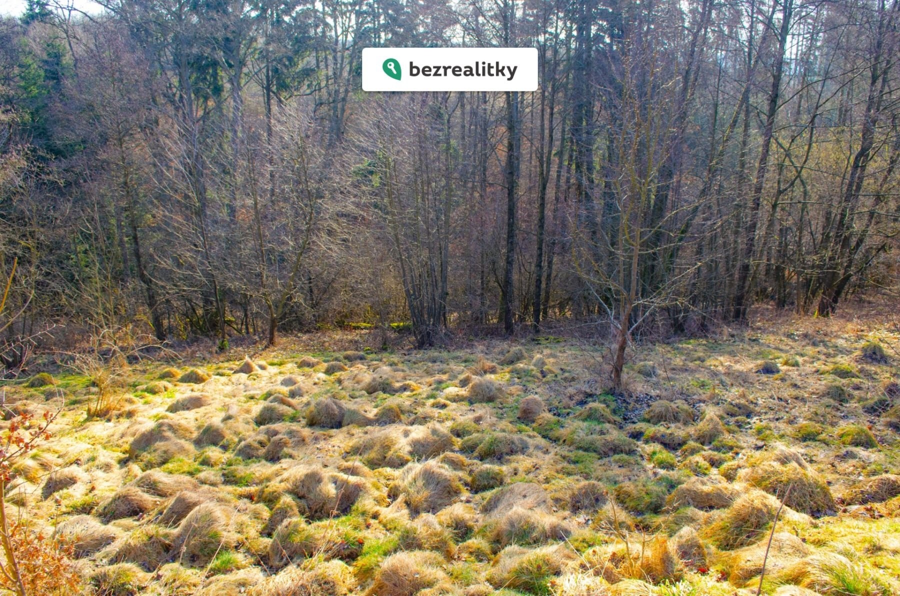 1772298329-xbzddymoiy-r-c5-af-c5-beek-prodej-20261