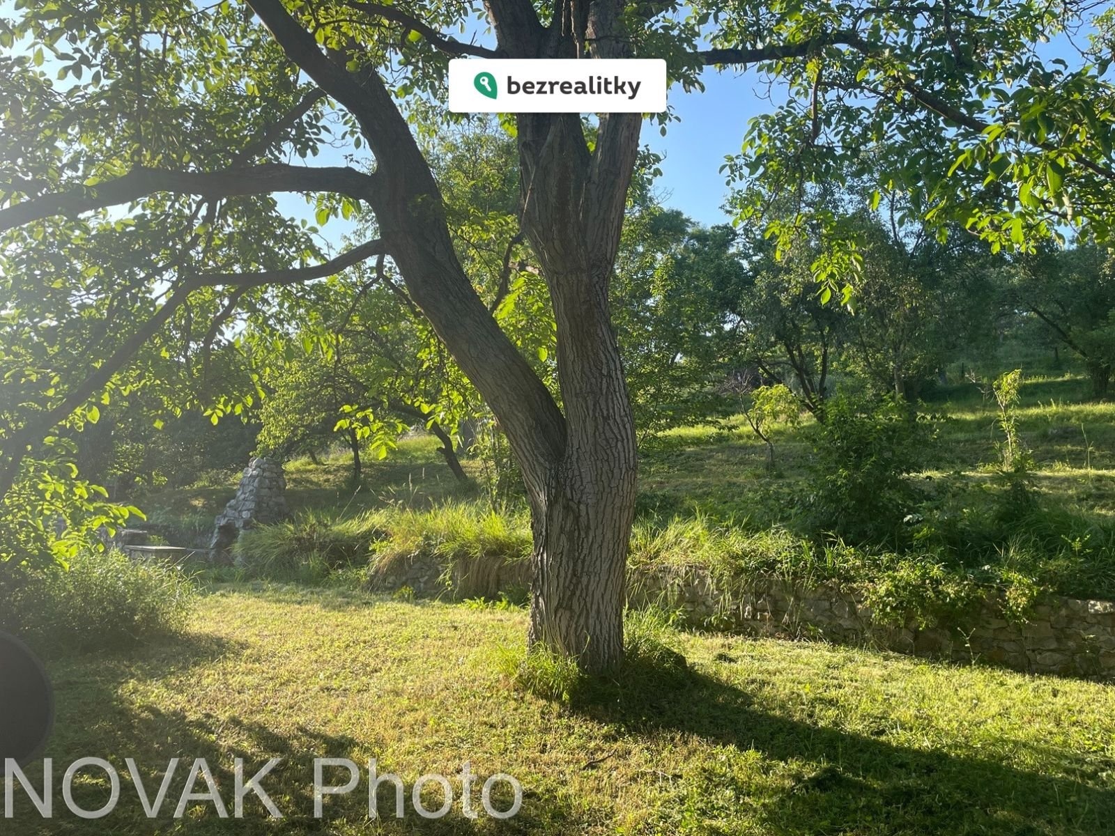 1785949898-brahyikliv-foto-1