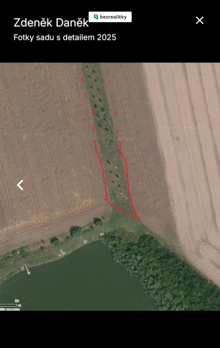 1763367613-oncxtpazjk-img-7648