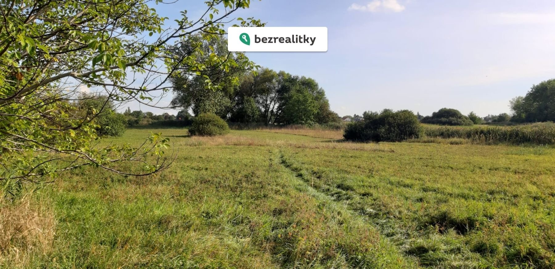 1729020993-rfjlcyqjeg-1000065632