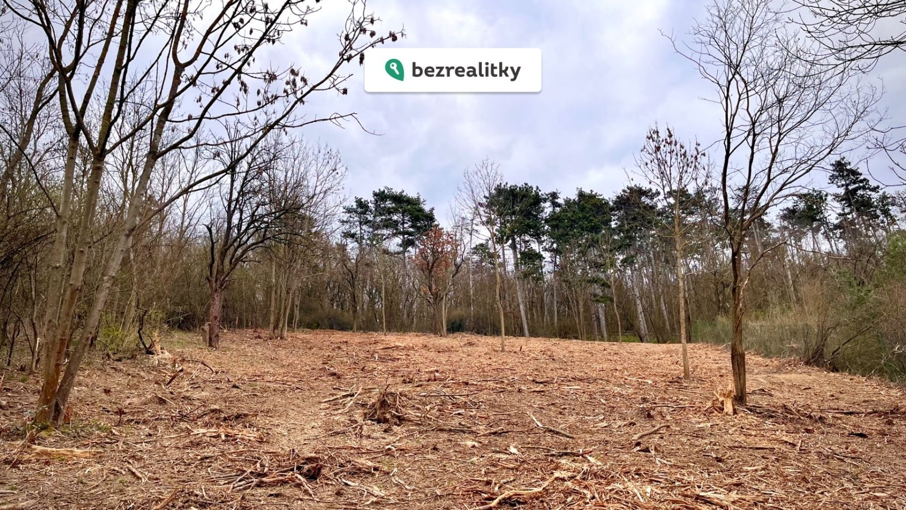 1775731150-txrtjpqwvd-pohled-z-dola