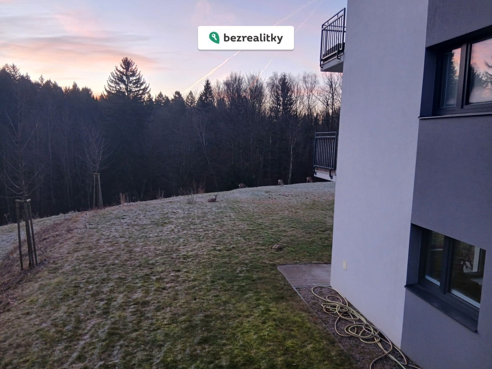 1774789771-nkjfkjahvv-20260226-064256