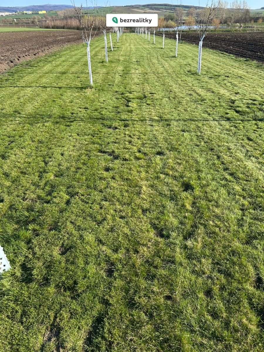 1763367511-nqccothjsj-img-3550