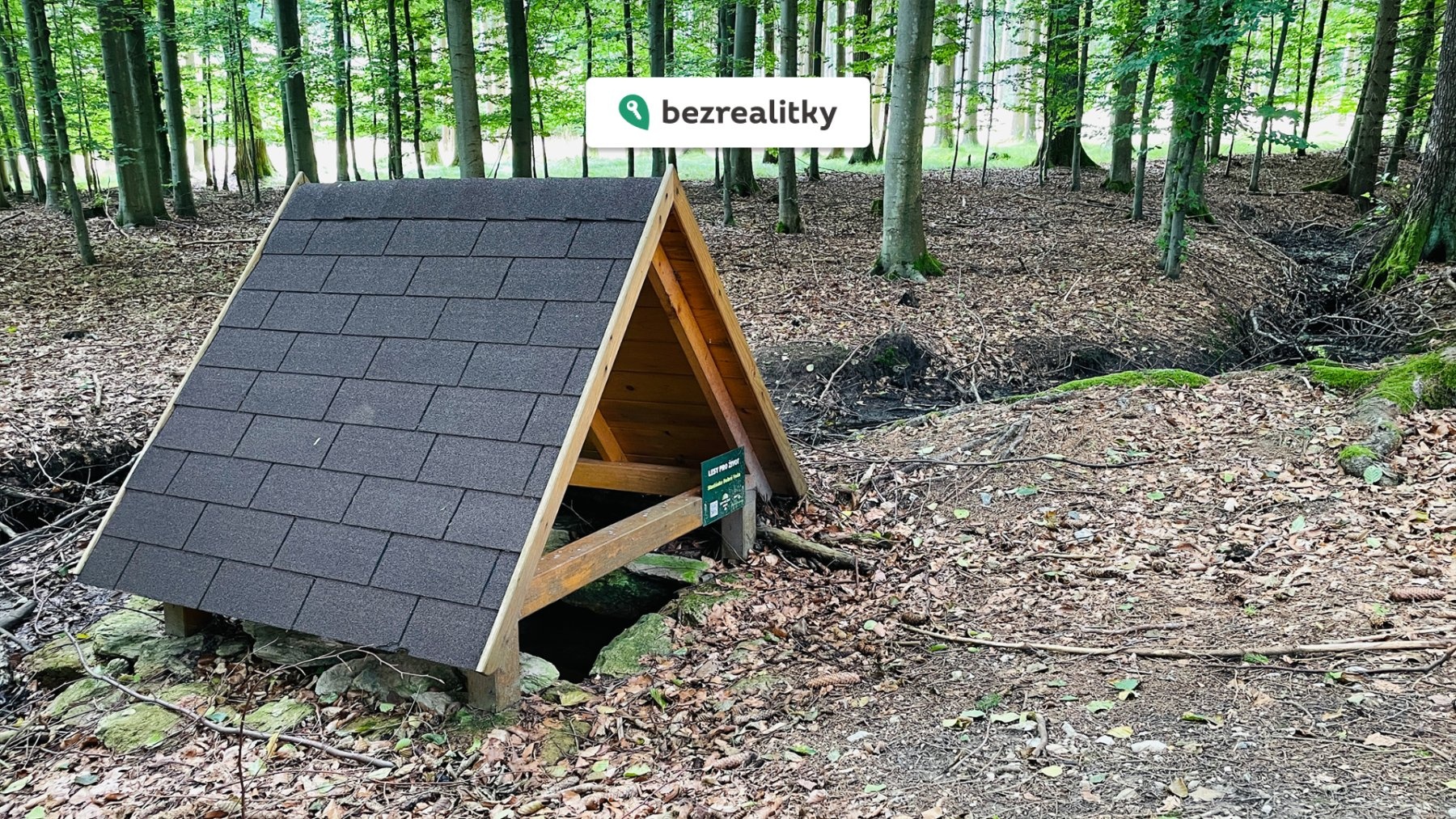 1761594191-rbgunhamtx-006