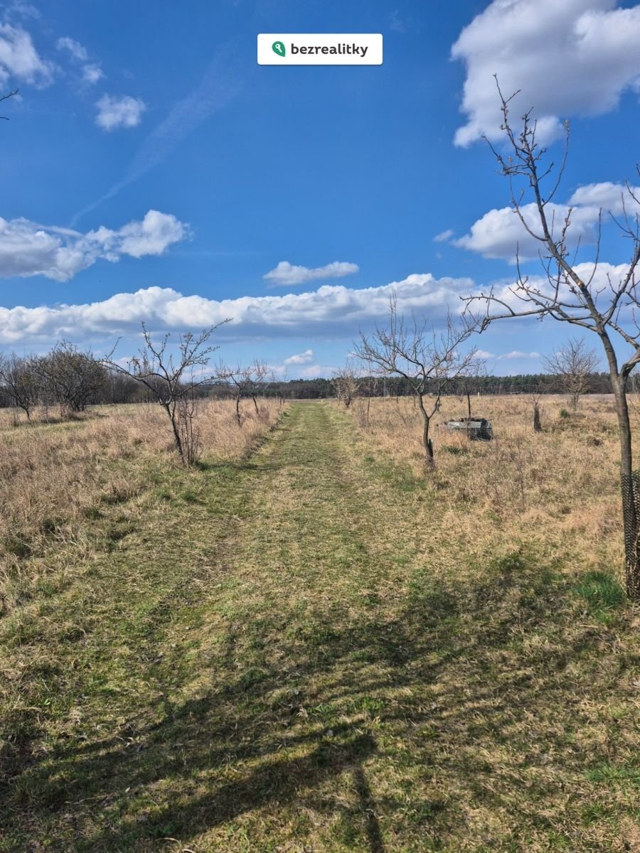 1774334235-rfbrjmngdy-20260323-133128