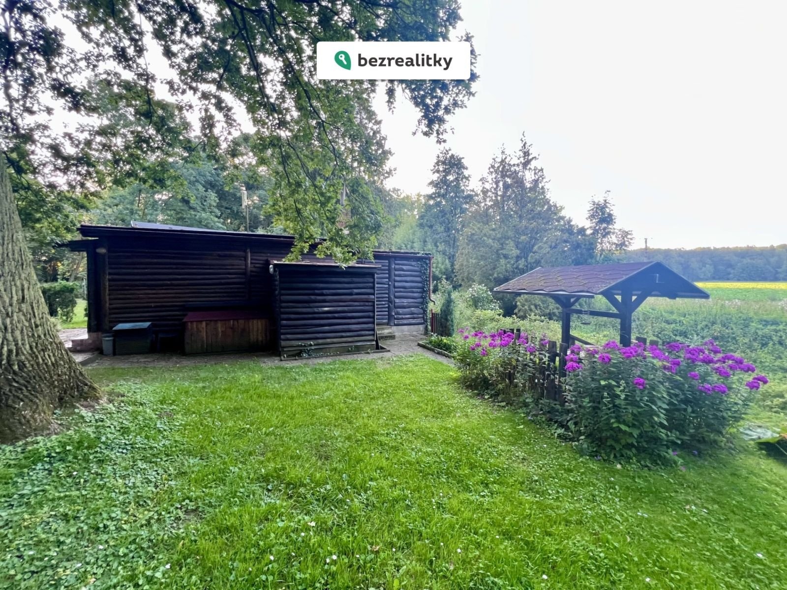 1769243192-tgamrdkomy-img-3285