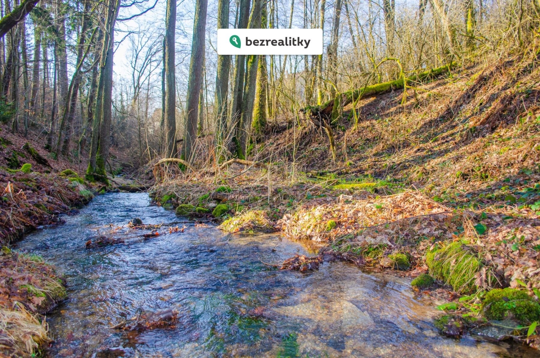 1772298329-okmmkdgshb-r-c5-af-c5-beek-prodej-20260