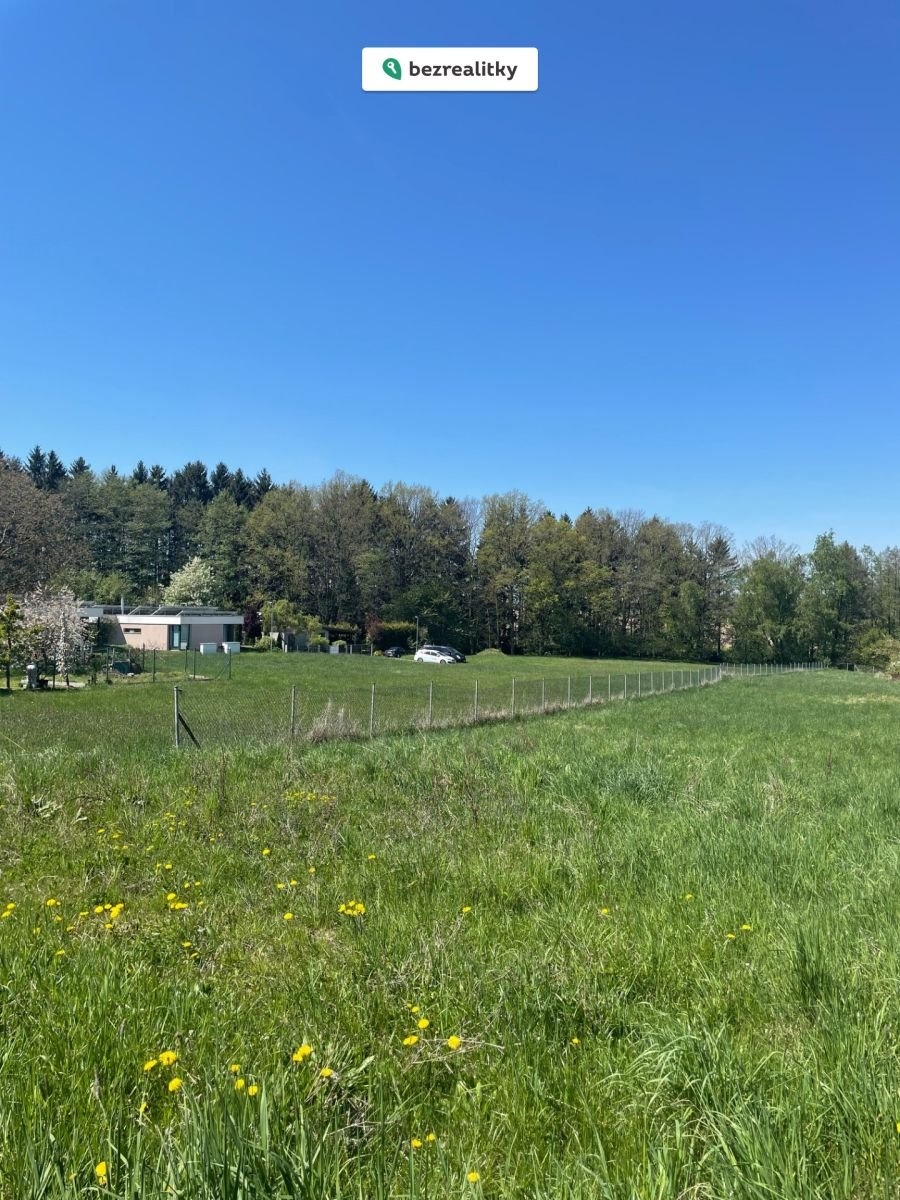 1774872271-wqqmqxxzwh-img-6312