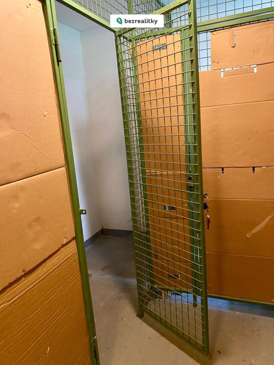 1760989009-xttfmhdldb-17-sklepni-cc-81-ko-cc-81je