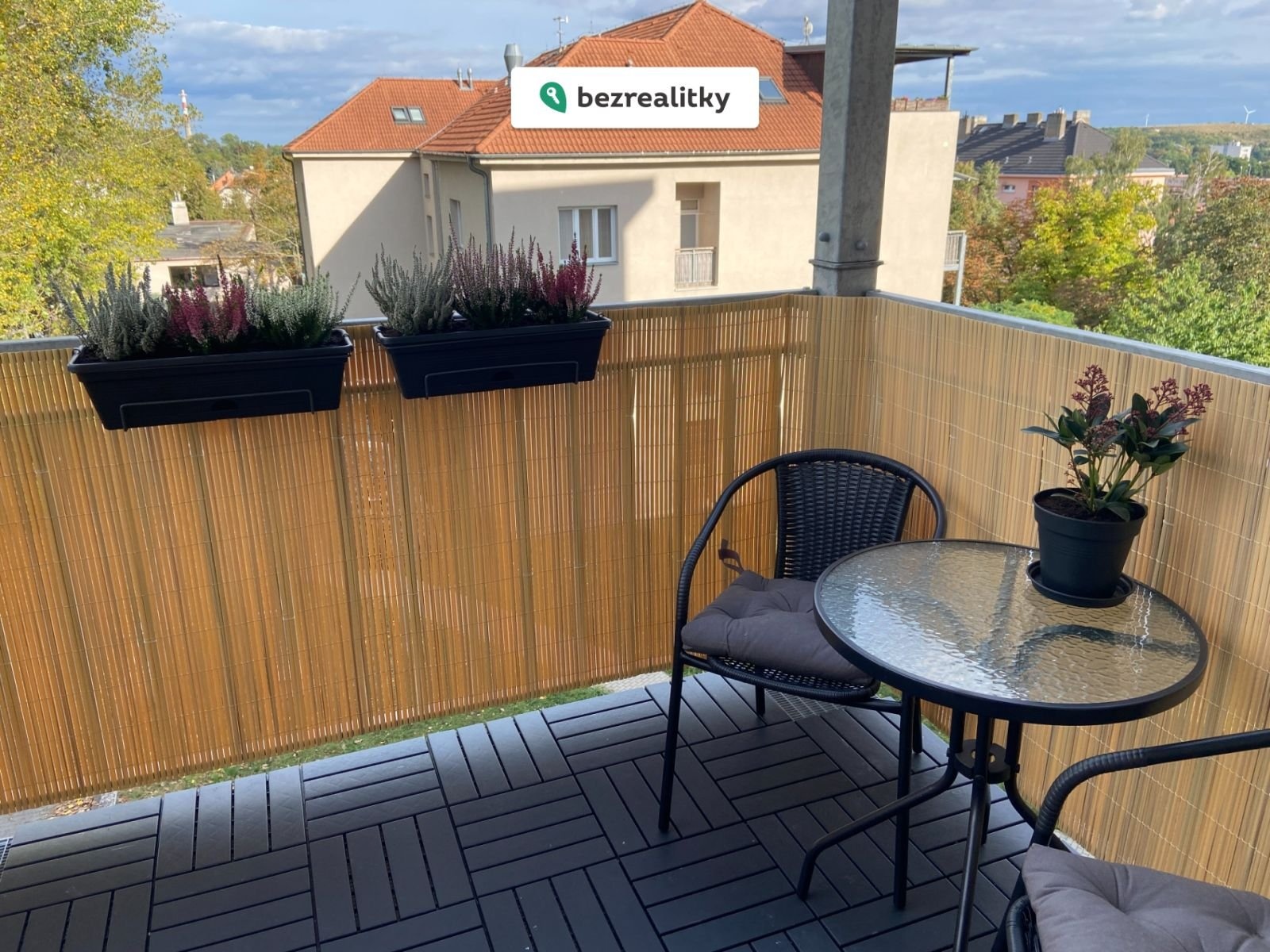 1772394103-cmmqcvrhvp-img-8620