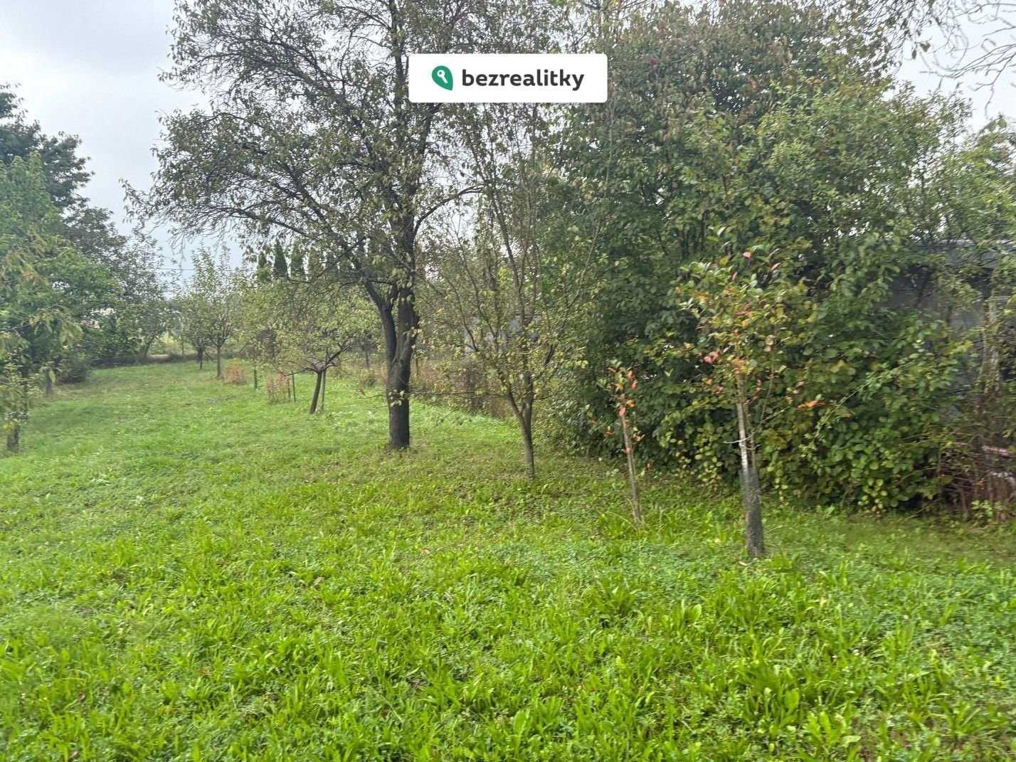 1772651930-rzjqhmswje-img-2222