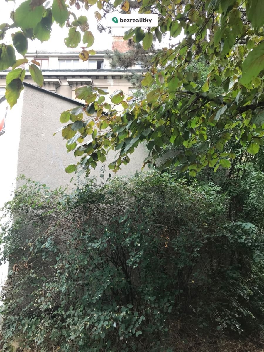 1785496365-kgzrzrrmzi-img-7034
