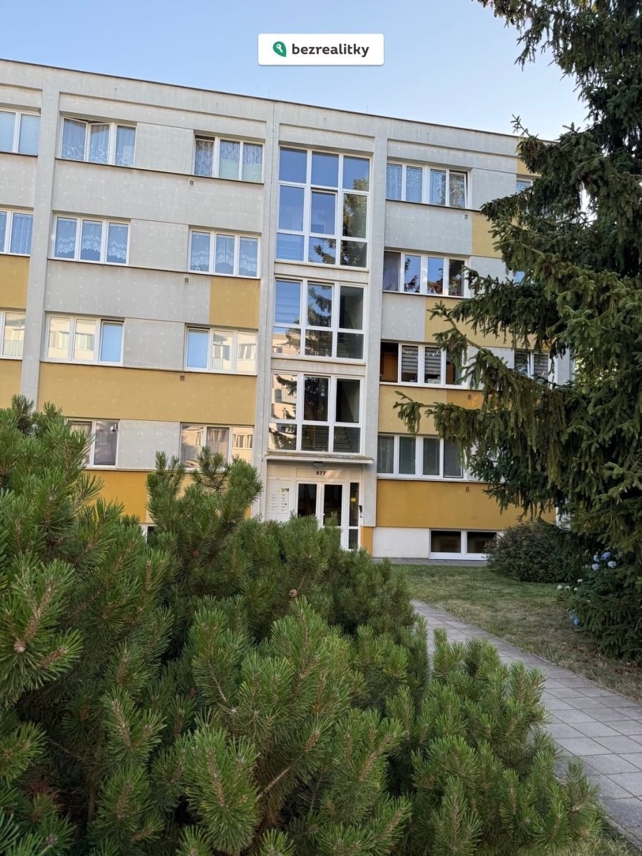 1753042882-jzhaouzlbm-img-2750