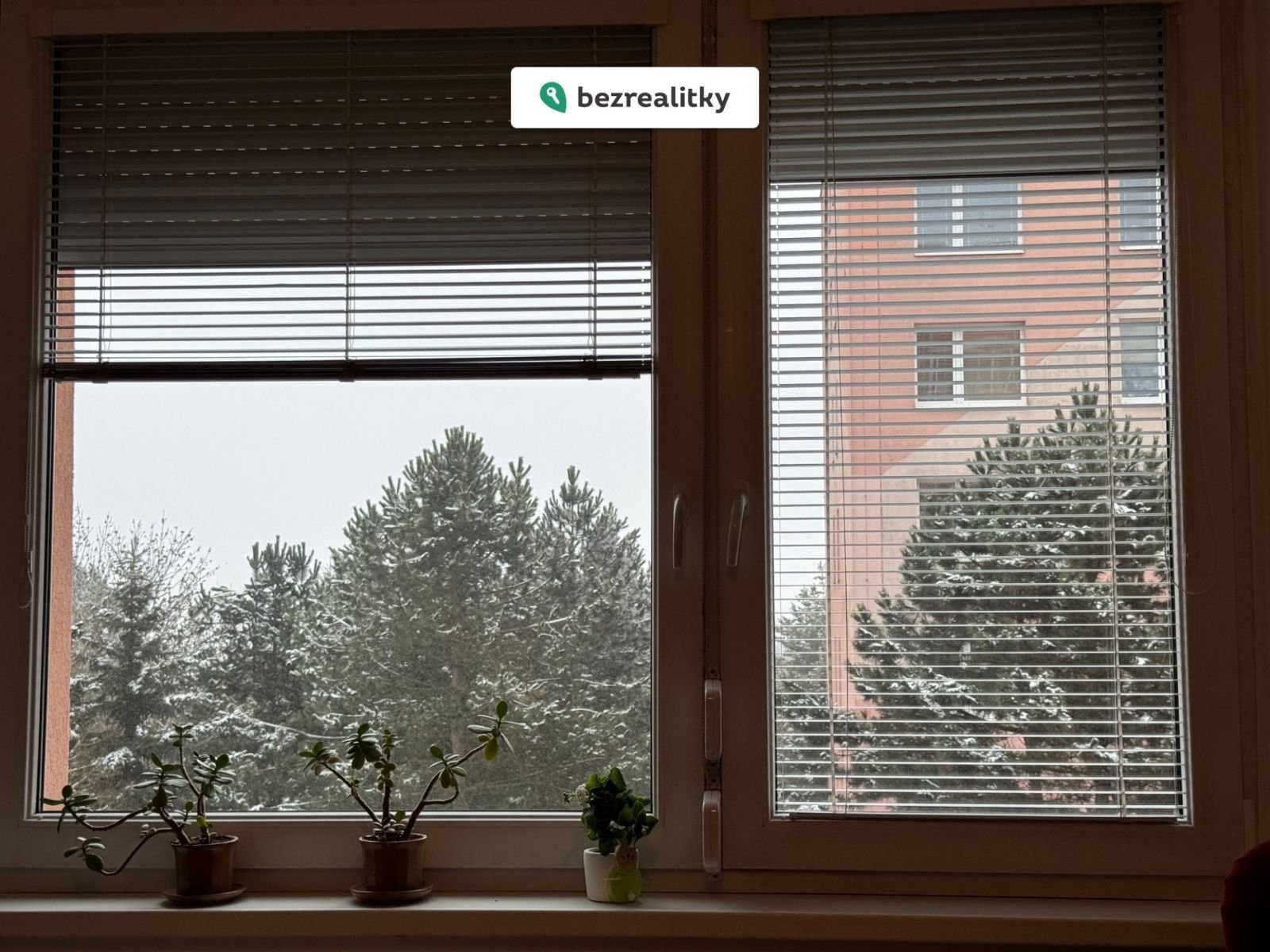 1770247587-afmqsqbwko-img-1032