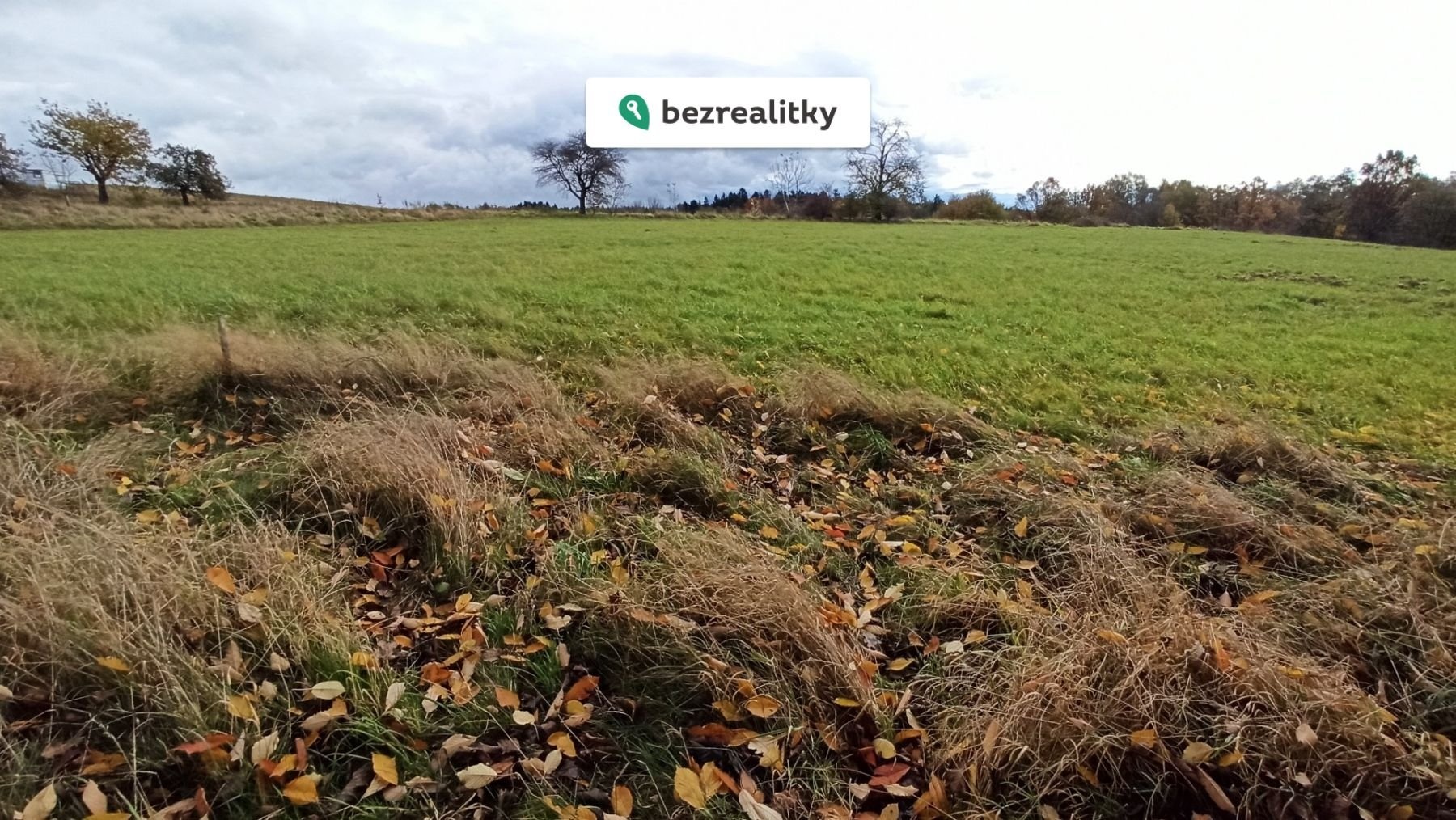 1769849891-eriafznaia-img-20251026-120503