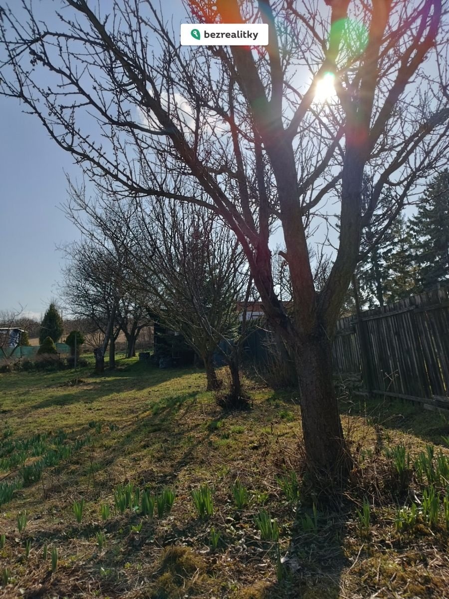 1774473670-yjuefijepg-1000040750