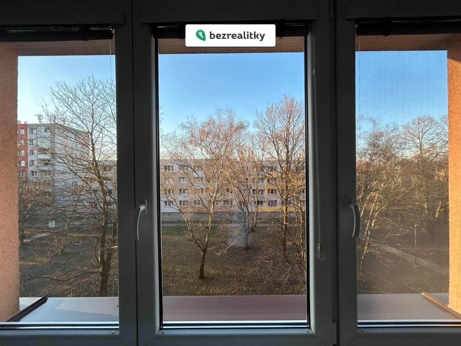 1772785490-mgtozlcbog-img-4966