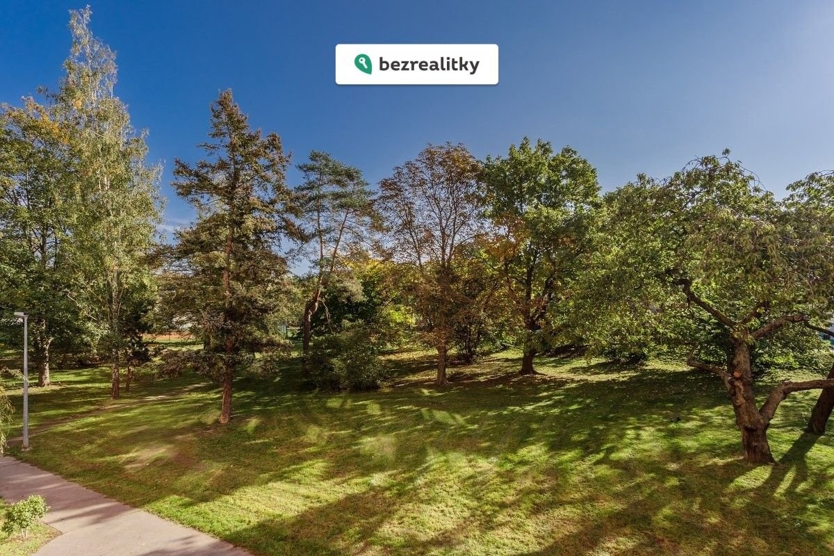 1774805029-bsjuhjoyfd-park