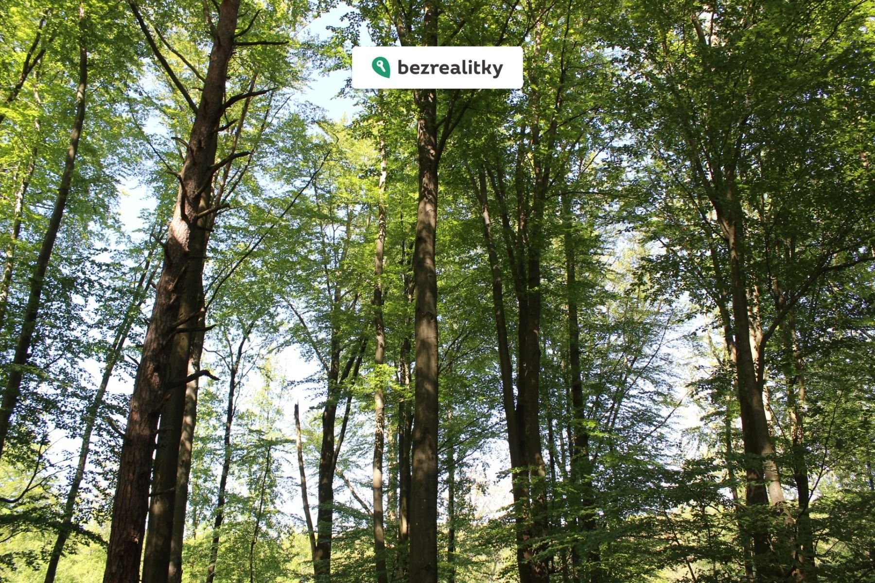 1764545294-jiwpetzjec-img-6473b