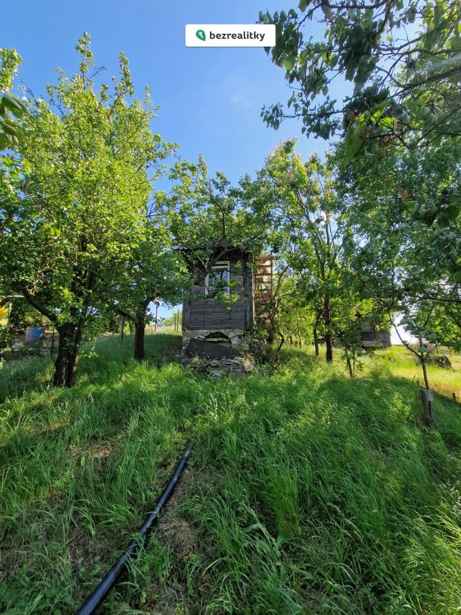 1753819305-vdsqzrtazq-7