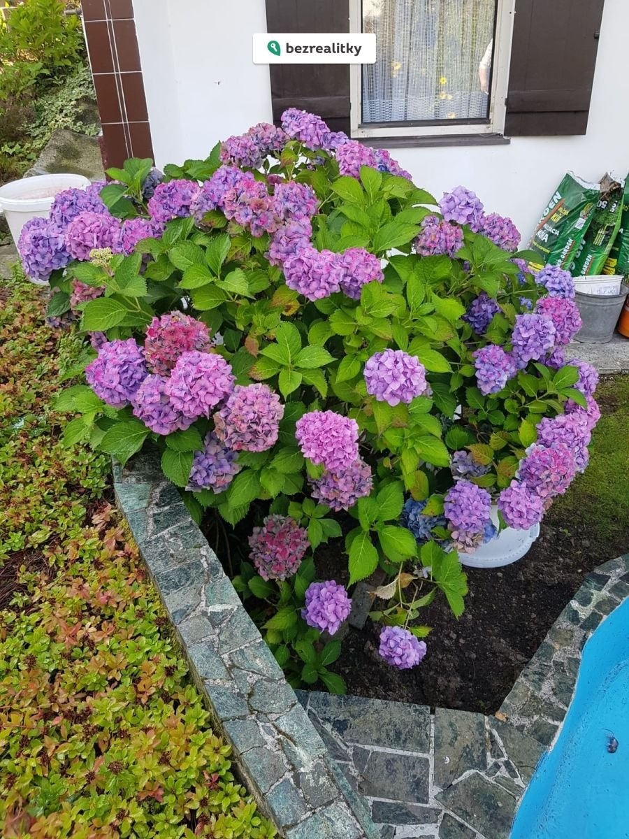 1775842115-frcnyfgcqu-photo-2020-09-13-15-09-59