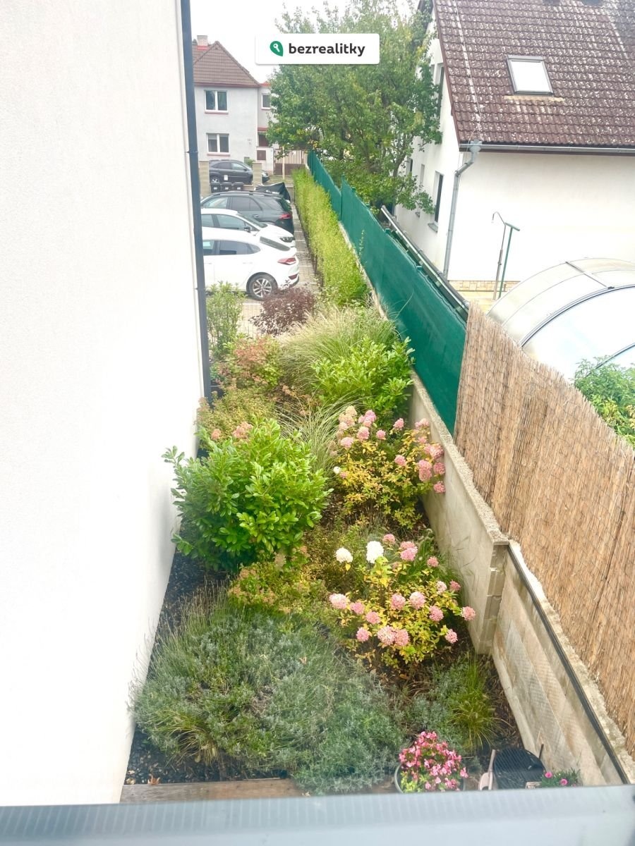 1762075636-ssrpsvycij-img-7888